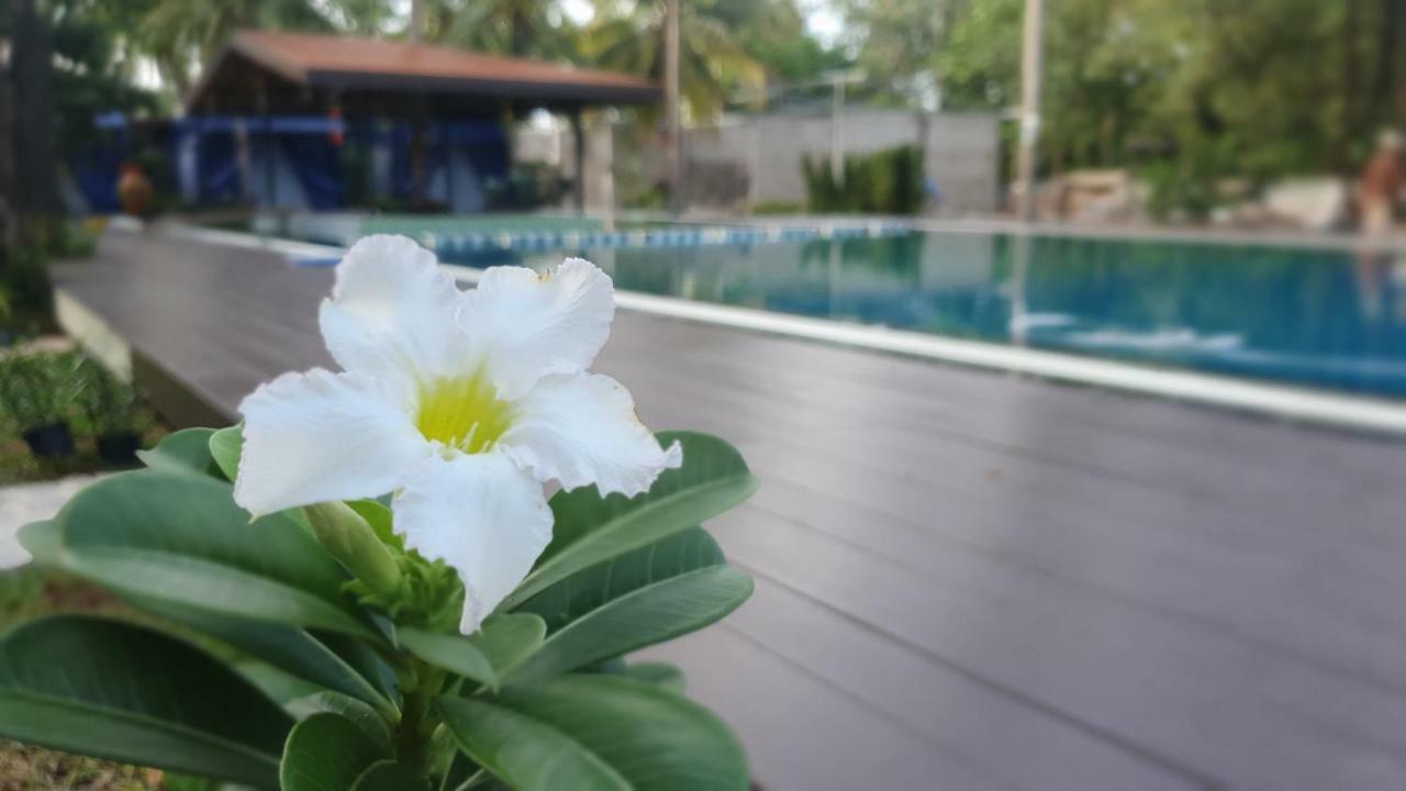 Moonshine Resort Chumphon Ngoại thất bức ảnh